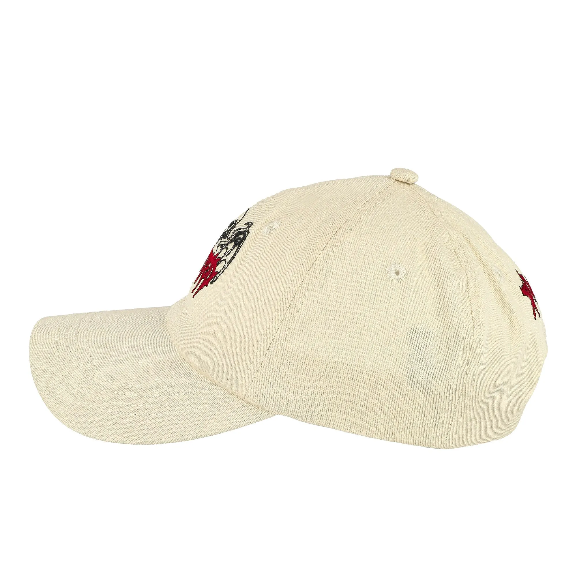 Bones 6 Panel Cap