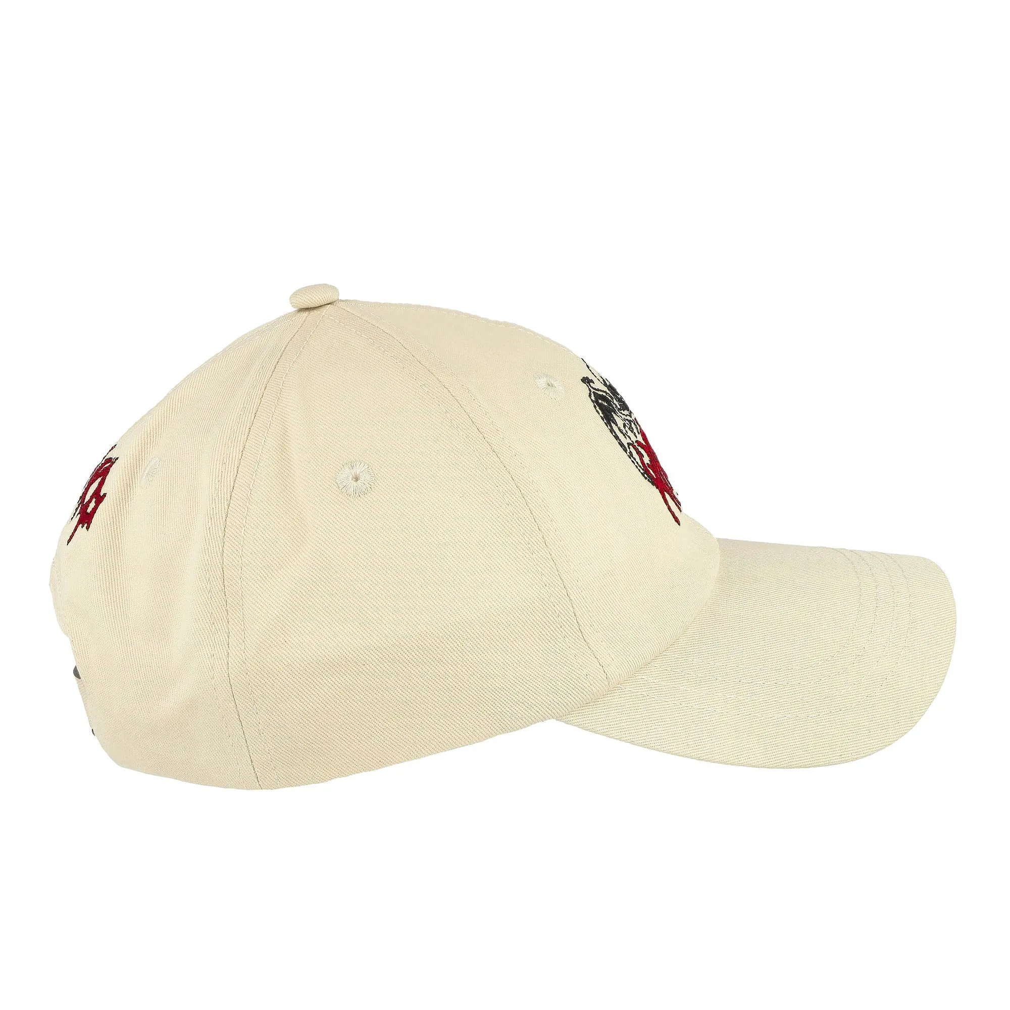 Bones 6 Panel Cap