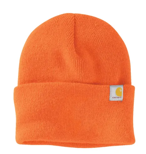 Carhartt Watch Cap 2.0