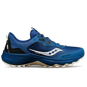 Saucony Women's Aura TR GTX Astro